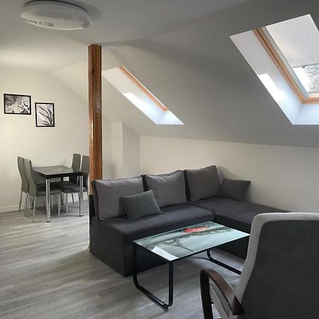 Apartamenty U Tatiany ミエンジボジェ エクステリア 写真