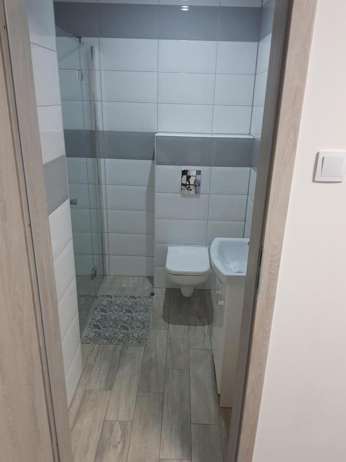 Apartamenty U Tatiany ミエンジボジェ エクステリア 写真